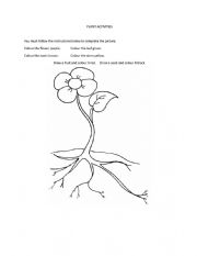 English Worksheet: Plant Activities