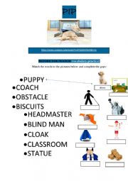 ANIMATED FILM LANGUAGE PRACTICE [6]