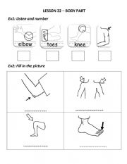 English Worksheet: Body part