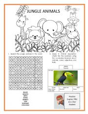 English Worksheet: JUNGLE ANIMALS