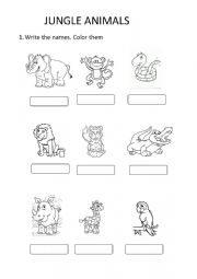 English Worksheet: jungle-animals-picture-dictionaries