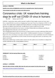 Breaking News Video :  Dogs trained to detect coronavirus