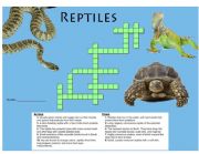 English Worksheet: Reptiles Crossword Puzzle + Answer Key
