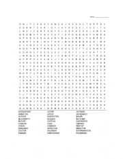 English Worksheet: Jobs Word Search + Answer Key