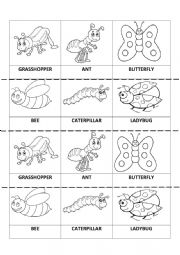 English Worksheet: BUGS MEMORY GAME