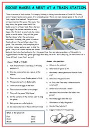 English Worksheet: True story: Goose lays eggs at train station
