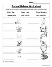 English Worksheet: Animals big and small