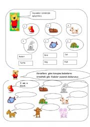 English Worksheet: PETS