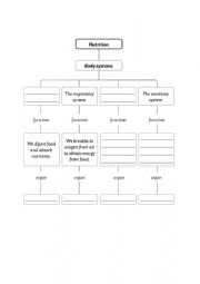 English Worksheet: Nutrition