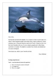 English Worksheet:  reading about the dolphin