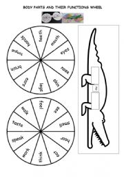 BODY PARTS AND THEIR FUNCTIONS WHEEL