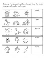 English Worksheet: Five Senses