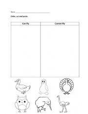 Bird Comparison Worksheet