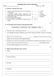 English Worksheet: Vocabulary Quiz: Life of an astronaut, compound words, prefixes