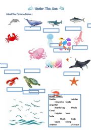 English Worksheet: Sea animals