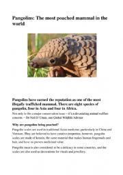 English Worksheet: Pangolins: The most poached mammal in the world