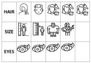 English Worksheet: Describing people
