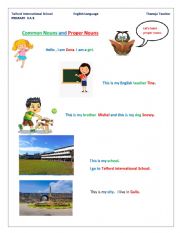 English Worksheet: common and proper