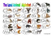 The Land Animal Alphabet with key