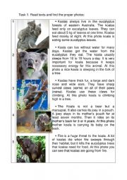 English Worksheet: Present Continuous exercises