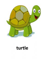 English Worksheet: Animals at the zoo