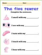 English Worksheet: FIVE SENSES