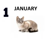 English Worksheet: Months of a year