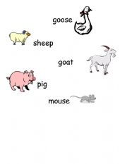 English Worksheet: Farm animals