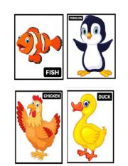 Animals Flashcards 2