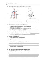 locomotor system exercises