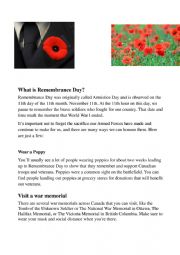 Remembrance Day and Poppies