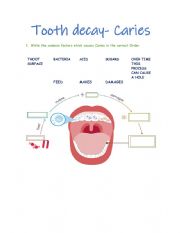 English Worksheet: Caries