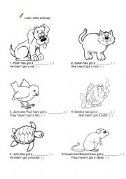 English Worksheet: Animals /Pets