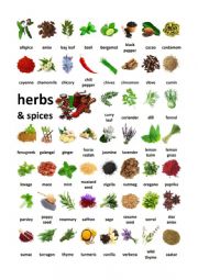 English Worksheet: Herbs & Spices Vocabulary