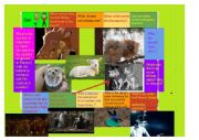 English Worksheet: small talk about animals