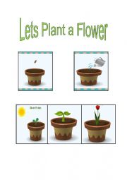 English Worksheet: Lets Plant a Flower