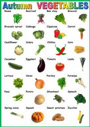 Autumn vegetables. Poster