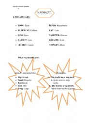 English Worksheet: animals 