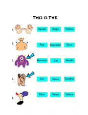 English Worksheet: Body�s Part Circle