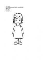 English Worksheet: body parts coloring