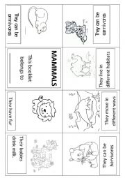 Mammals booklet