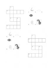 English Worksheet: Crossword Body Parts