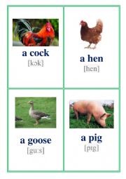 English Worksheet: domestic animals
