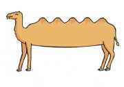 Alice the Camel