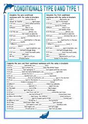 English Worksheet: Conditionals type 0 and 1