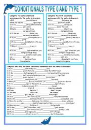 Conditionals type 0 and 1