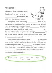 English Worksheet: Kangaroo Cloze