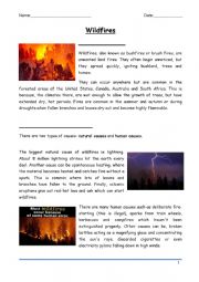 English worksheet: Wildfires