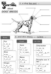 English Worksheet: Dog Breed description