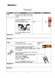 Wordly Wise Vocab Worksheet